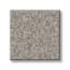 Battery Park Driftwood Texture Carpet with Pet swatch